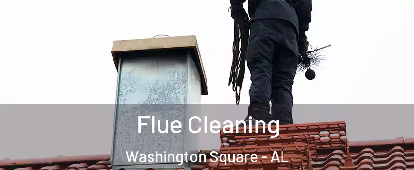 Flue Cleaning Washington Square - AL