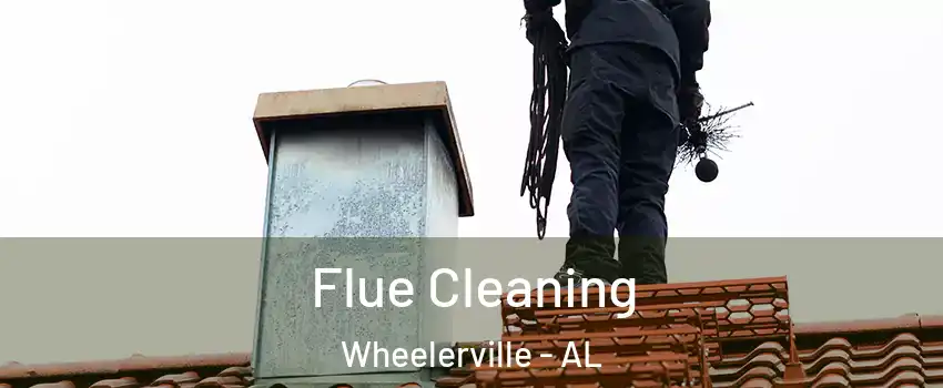 Flue Cleaning Wheelerville - AL