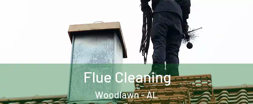 Flue Cleaning Woodlawn - AL