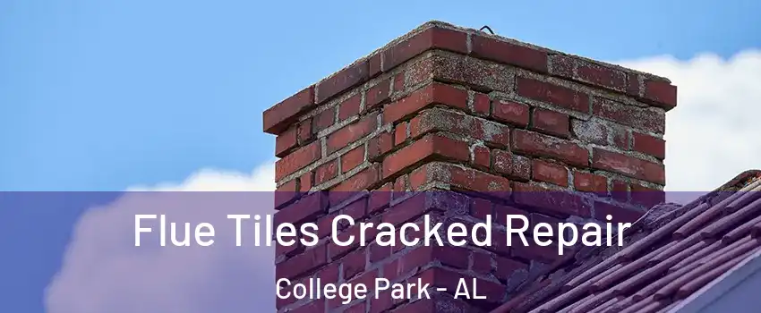 Flue Tiles Cracked Repair College Park - AL