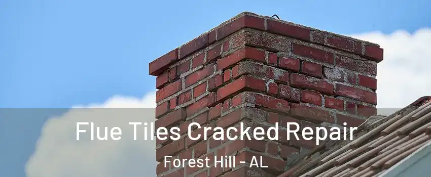 Flue Tiles Cracked Repair Forest Hill - AL