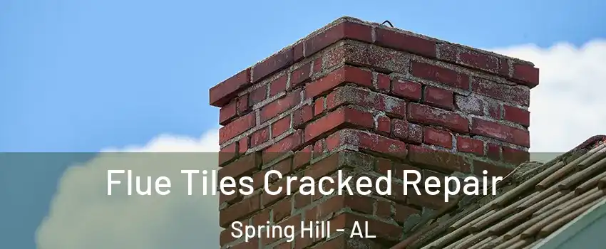 Flue Tiles Cracked Repair Spring Hill - AL