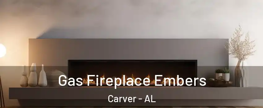 Gas Fireplace Embers Carver - AL