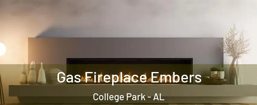 Gas Fireplace Embers College Park - AL