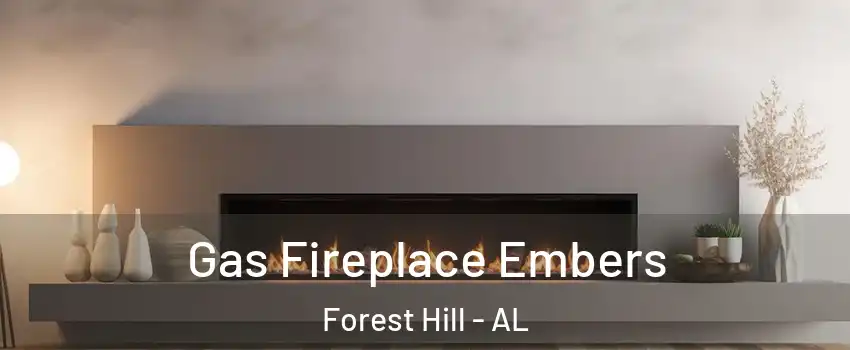 Gas Fireplace Embers Forest Hill - AL