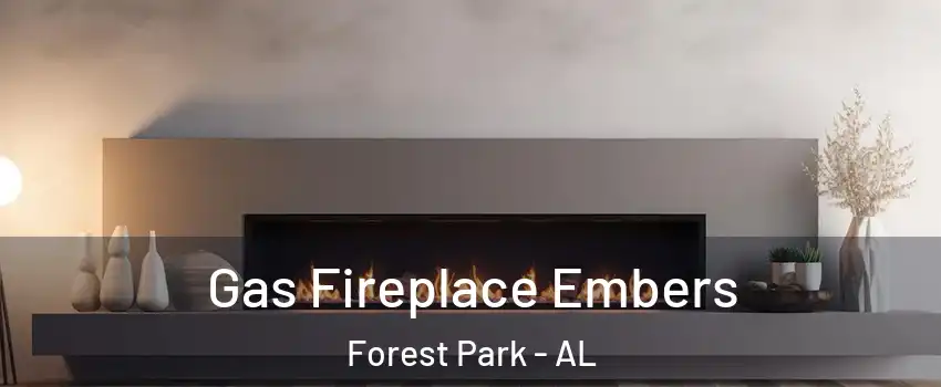 Gas Fireplace Embers Forest Park - AL