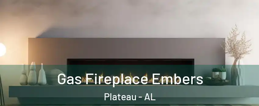 Gas Fireplace Embers Plateau - AL