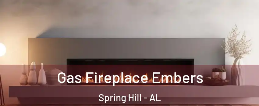 Gas Fireplace Embers Spring Hill - AL