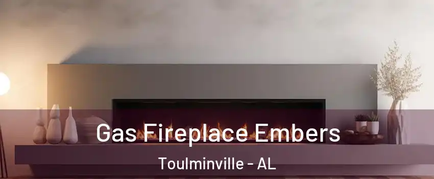 Gas Fireplace Embers Toulminville - AL
