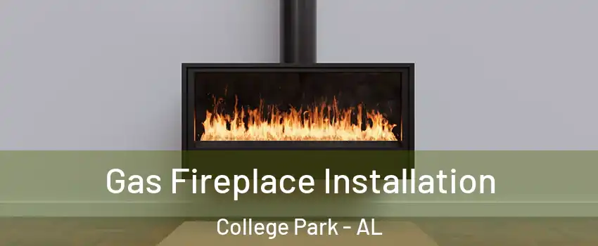 Gas Fireplace Installation College Park - AL