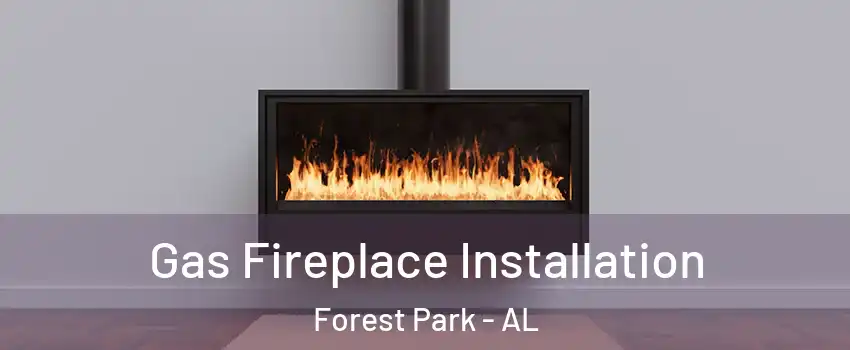 Gas Fireplace Installation Forest Park - AL