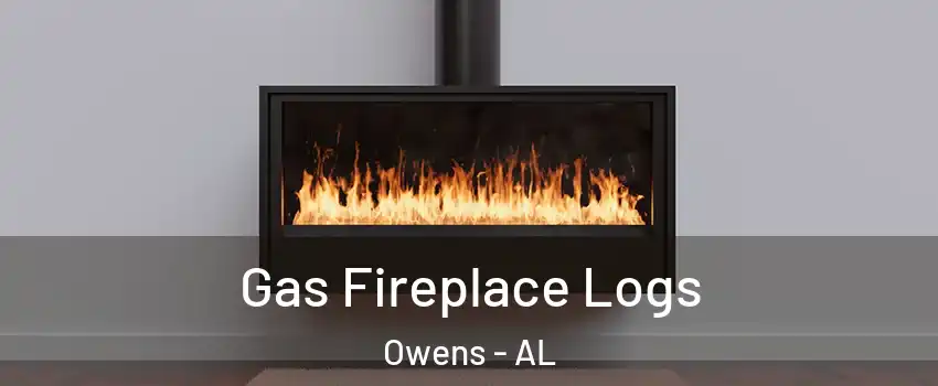 Gas Fireplace Logs Owens - AL