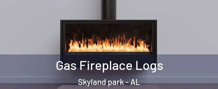 Gas Fireplace Logs Skyland park - AL