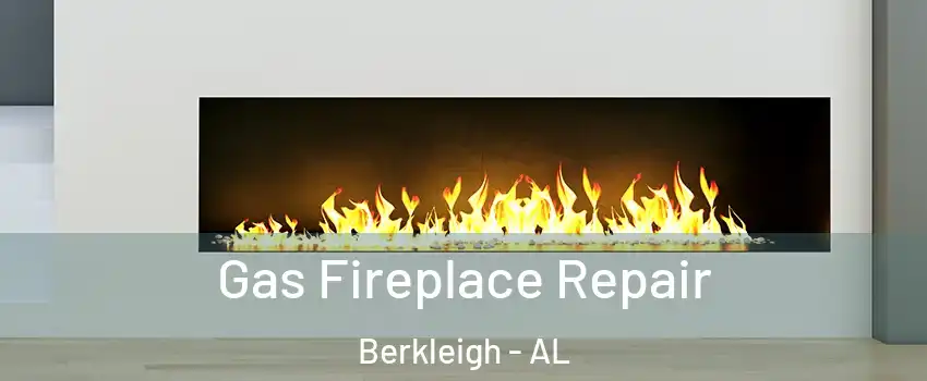 Gas Fireplace Repair Berkleigh - AL
