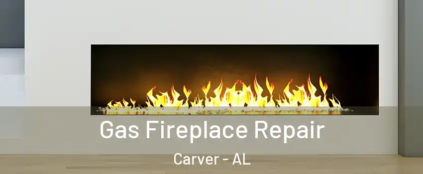 Gas Fireplace Repair Carver - AL