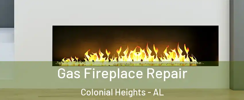 Gas Fireplace Repair Colonial Heights - AL