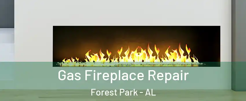 Gas Fireplace Repair Forest Park - AL