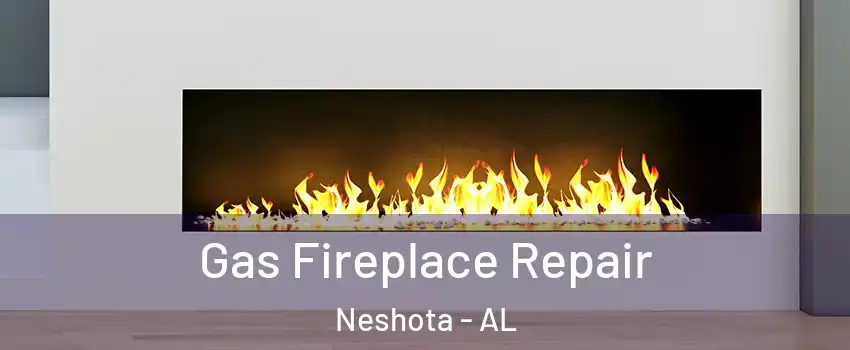 Gas Fireplace Repair Neshota - AL