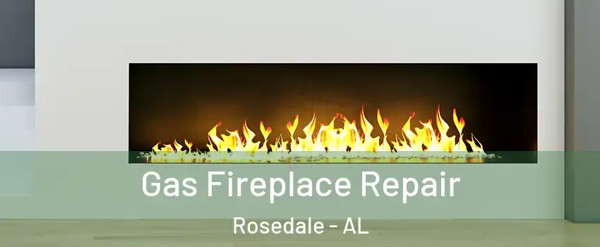 Gas Fireplace Repair Rosedale - AL