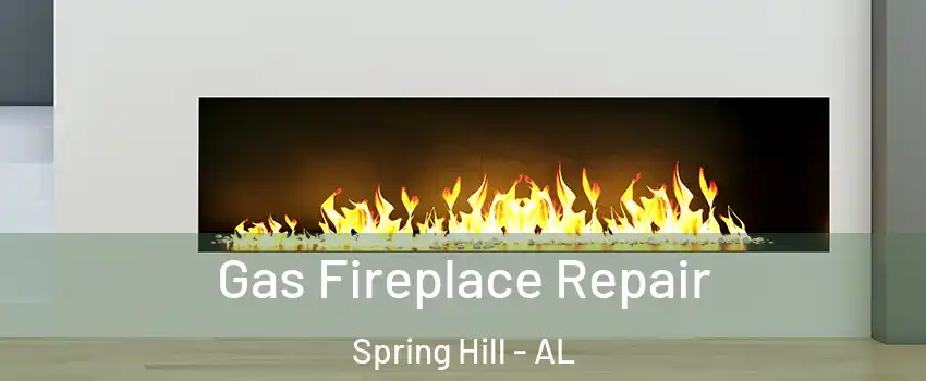Gas Fireplace Repair Spring Hill - AL