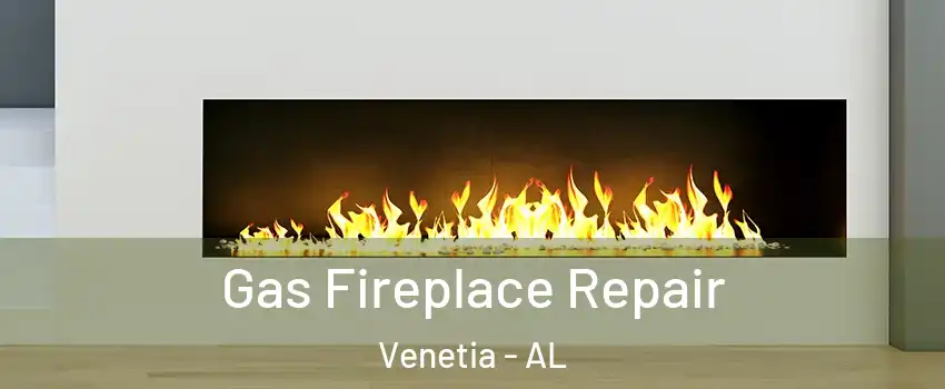 Gas Fireplace Repair Venetia - AL