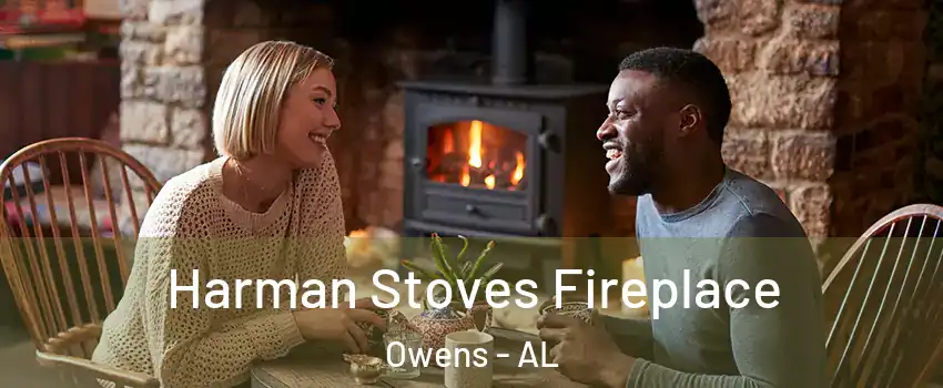 Harman Stoves Fireplace Owens - AL