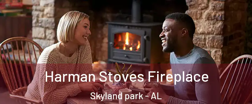 Harman Stoves Fireplace Skyland park - AL