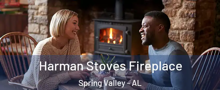 Harman Stoves Fireplace Spring Valley - AL