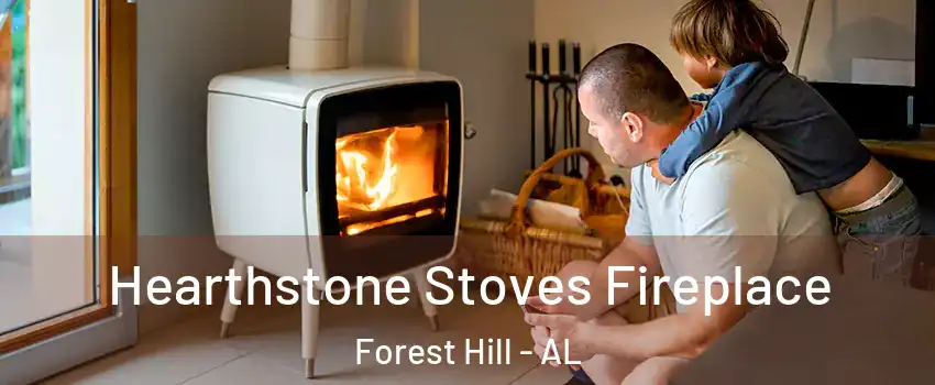 Hearthstone Stoves Fireplace Forest Hill - AL