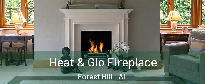 Heat & Glo Fireplace Forest Hill - AL