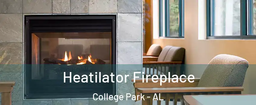 Heatilator Fireplace College Park - AL