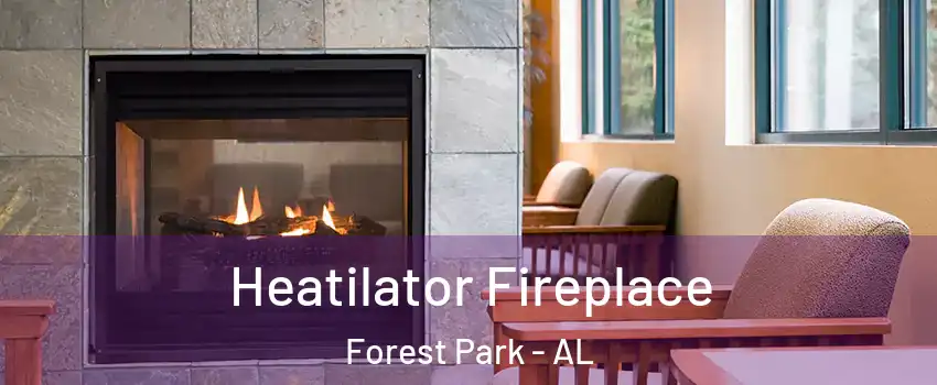 Heatilator Fireplace Forest Park - AL