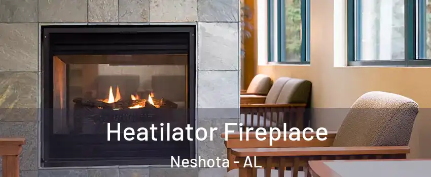 Heatilator Fireplace Neshota - AL