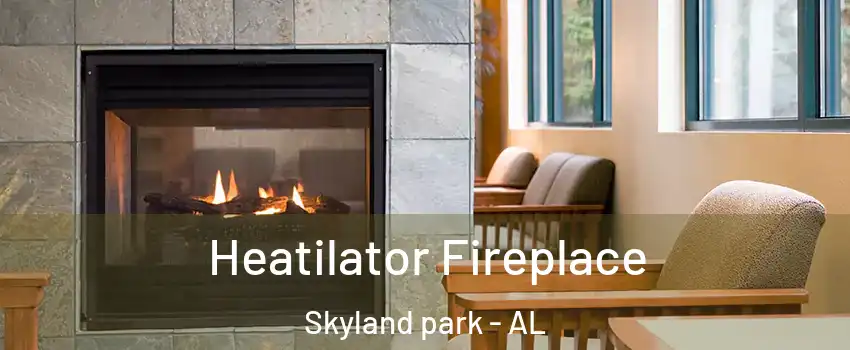 Heatilator Fireplace Skyland park - AL