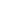 Professional Chimney Flue Installation in Mobile, Alabama