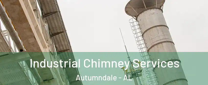 Industrial Chimney Services Autumndale - AL