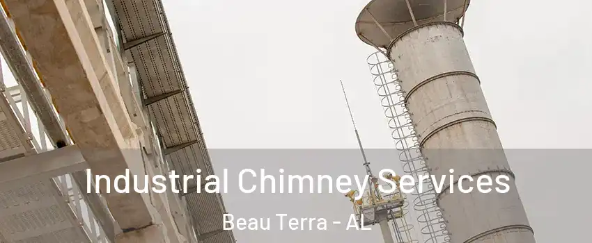 Industrial Chimney Services Beau Terra - AL