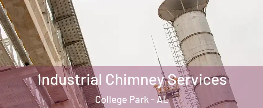Industrial Chimney Services College Park - AL