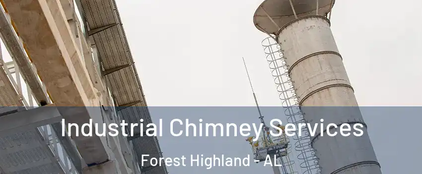 Industrial Chimney Services Forest Highland - AL