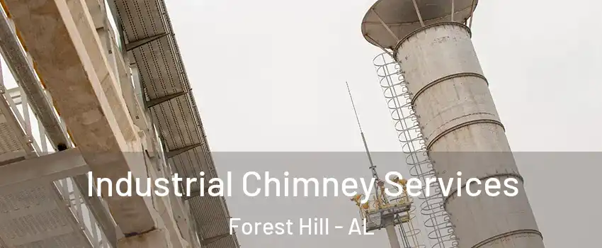Industrial Chimney Services Forest Hill - AL