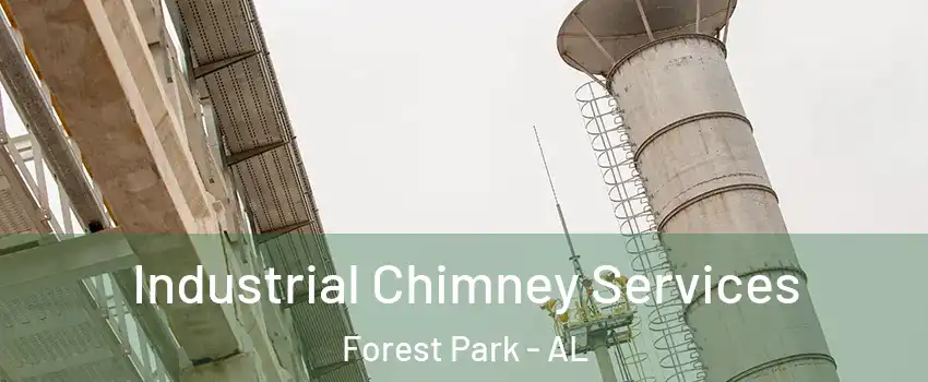 Industrial Chimney Services Forest Park - AL