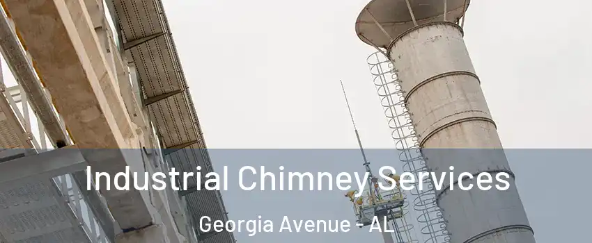 Industrial Chimney Services Georgia Avenue - AL