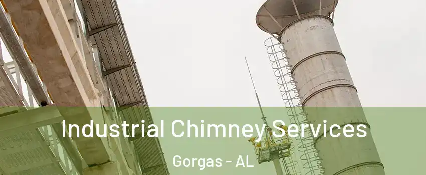 Industrial Chimney Services Gorgas - AL