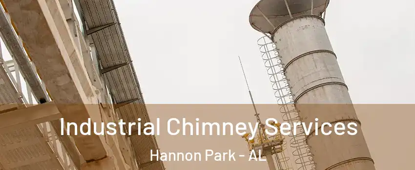 Industrial Chimney Services Hannon Park - AL