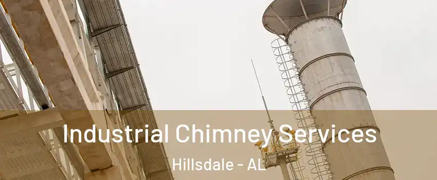 Industrial Chimney Services Hillsdale - AL