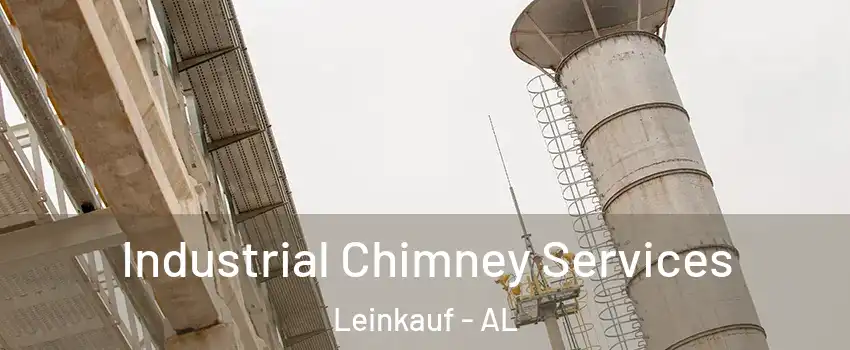 Industrial Chimney Services Leinkauf - AL