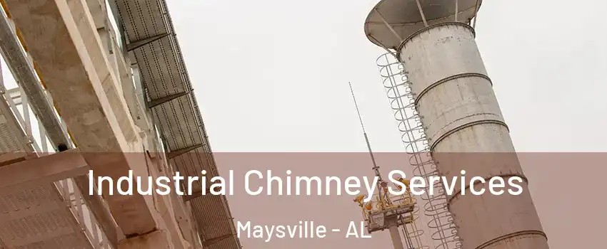 Industrial Chimney Services Maysville - AL