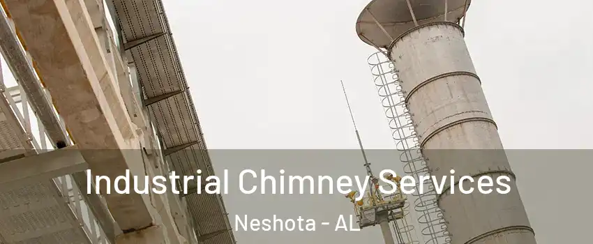 Industrial Chimney Services Neshota - AL