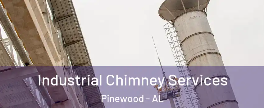 Industrial Chimney Services Pinewood - AL
