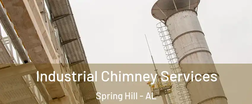 Industrial Chimney Services Spring Hill - AL